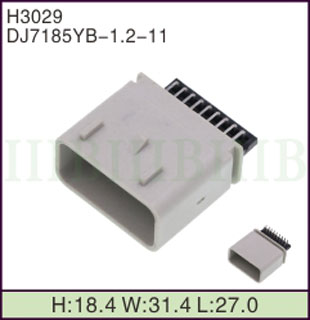 H3029