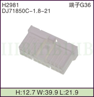 H2981